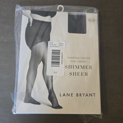 Lane Bryant Shimmer Sheer Shaping Tights  Size E/F 24-26